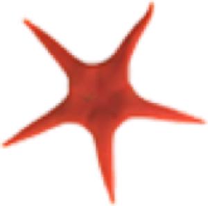Oceanic Global Group