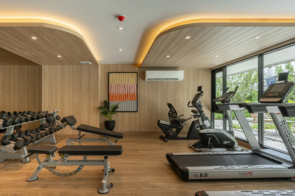 The weights end of the gym: a dumbbell rack, two benches, a painting on the timber wall and a wavy ceiling with cove lighting