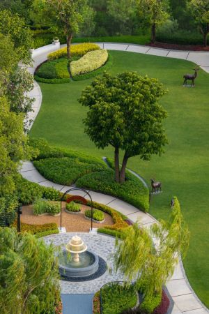 The park from above: paths around a tree