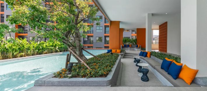 The pool with a tree on its island and coloured poufs at the water