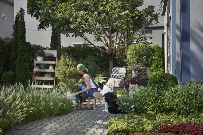 The pets park: a path, shrubs and an owner with a dog