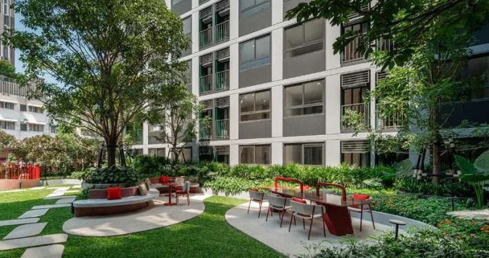 The ground-floor garden between the building and the trees