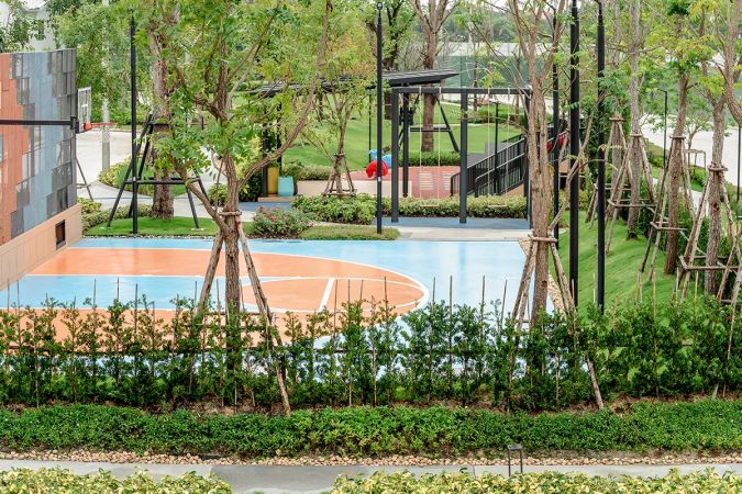 The pool in the shared garden