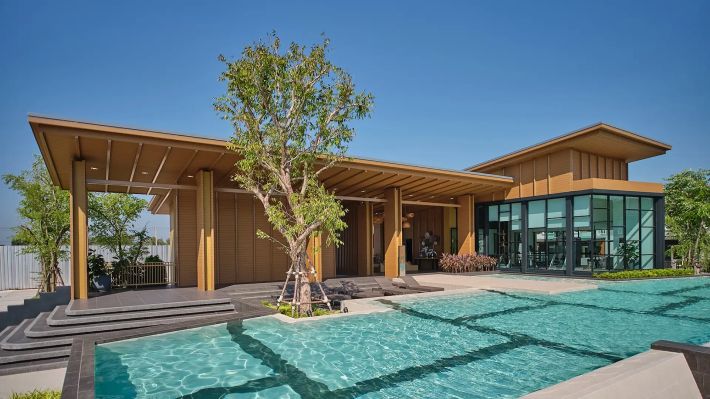 The pool with a tree in the courtyard