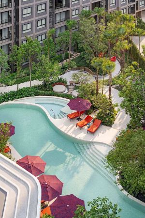 The pool from above by day: a curved basin, purple parasols and orange loungers along its edge, palms and dense garden between the wings